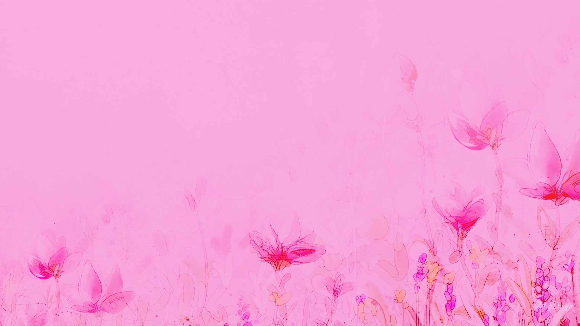 Pink flower illustration backgrounds 