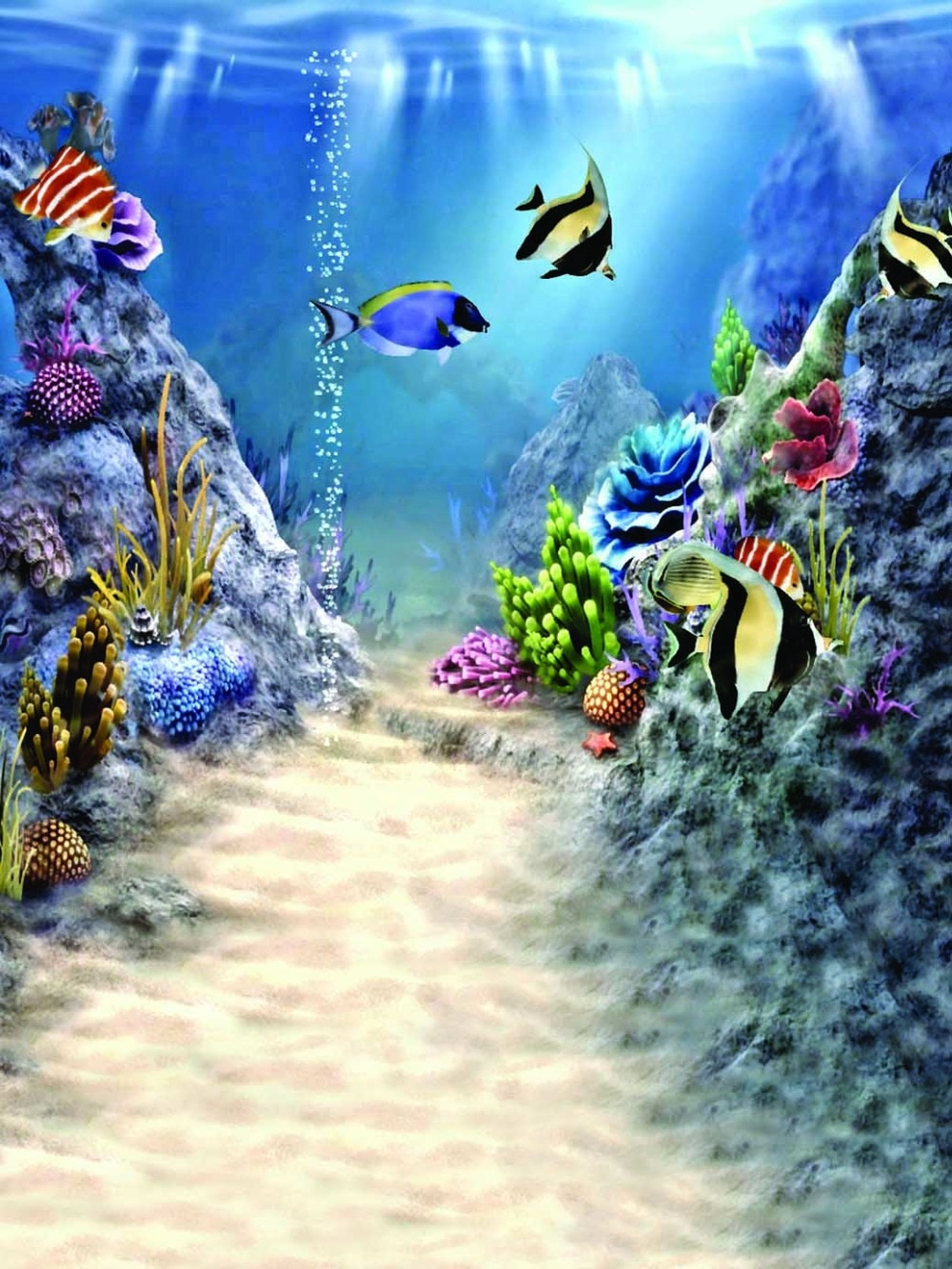 Various fish living in sea hd wallpapers