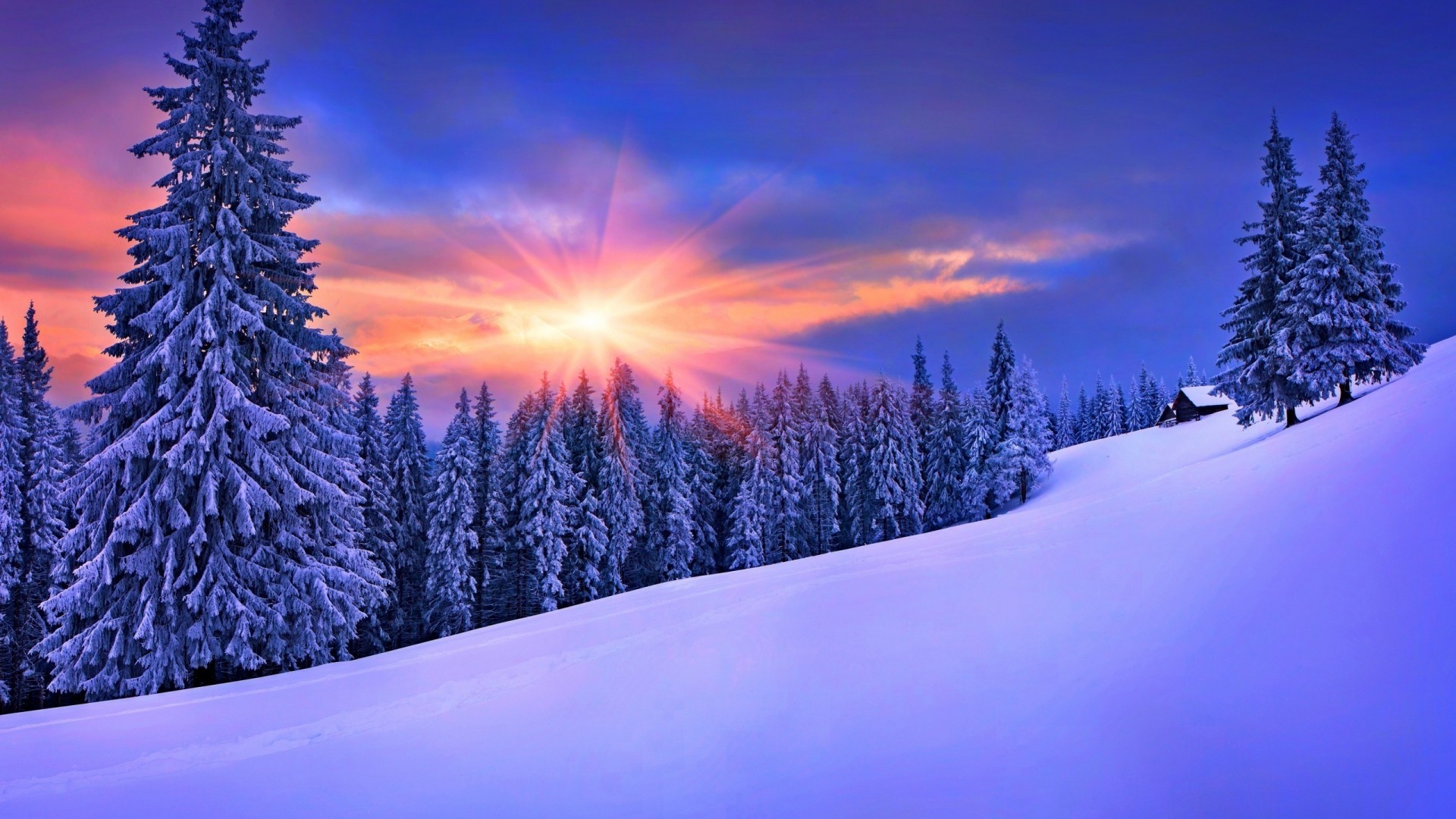 sun glare, snow background pictures hd download