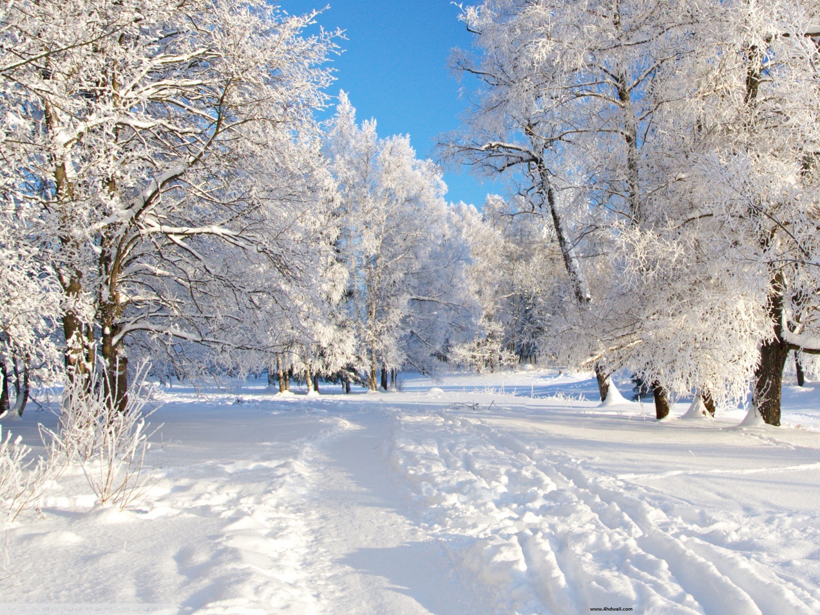 real way snow, winter background images free download