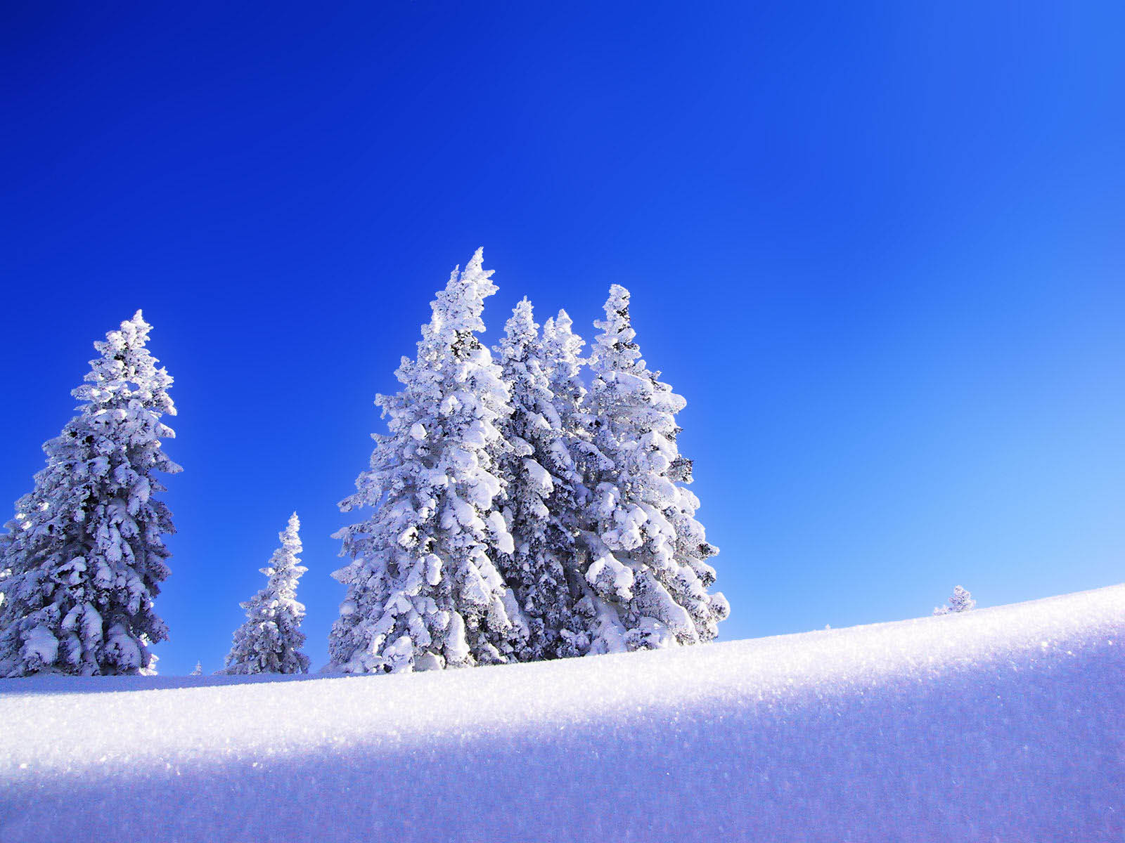 blue sky, snow background photo wallpaper download