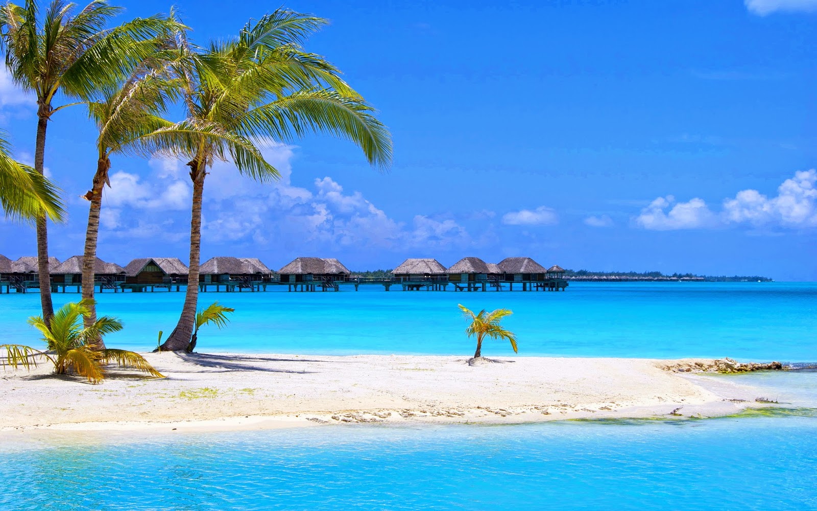 tropical desktop backgrounds beach backgrounds