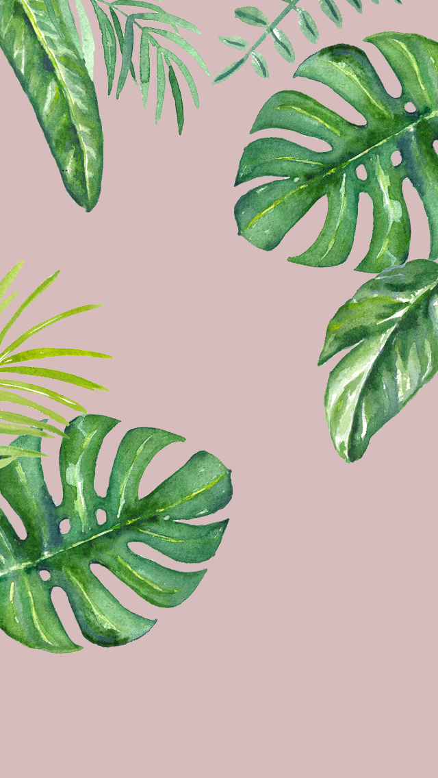 tropical leaves dlolleys help iphone jungle leaves wallpapers
