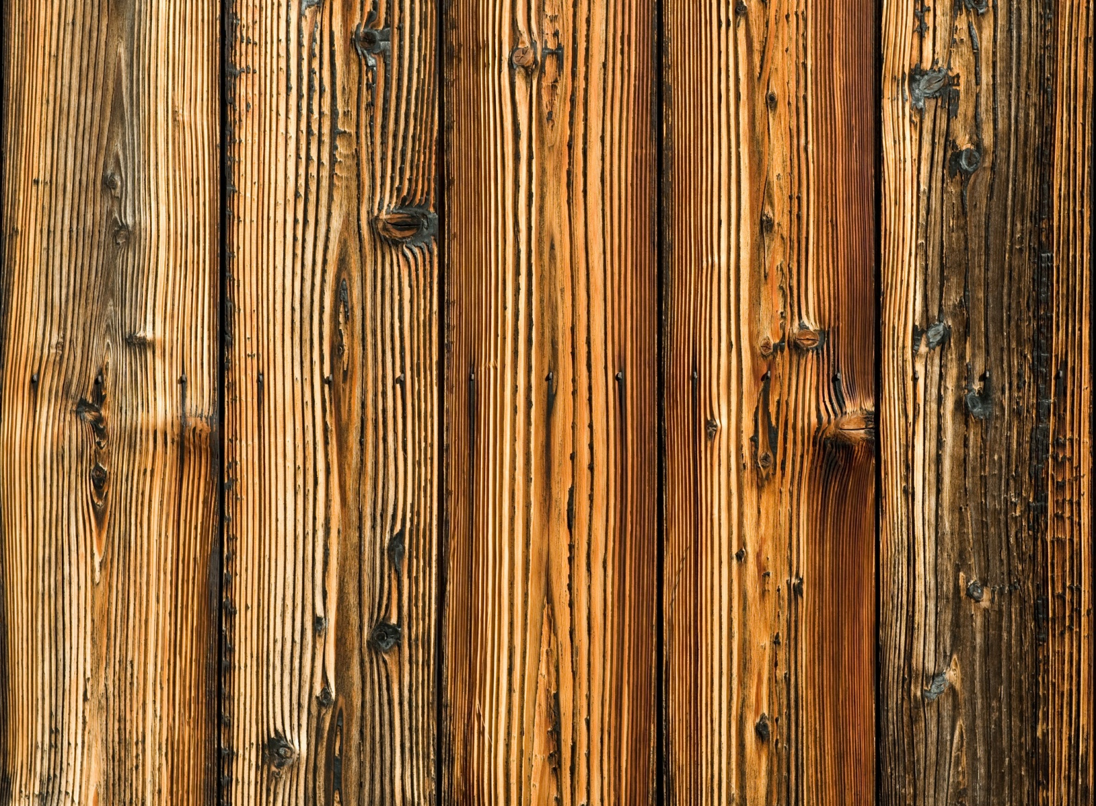 old tree wood picture wallpaper